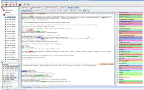 Figure 1. The GATE developer interface.