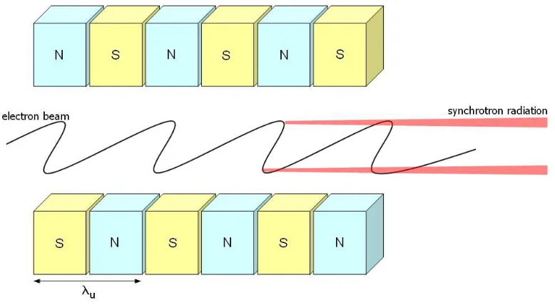 Figure 2.5: Synchrotron radiation from an insertion device