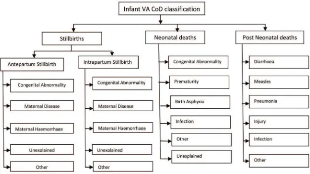 Figure 9: Schematic diagram showing the hierarchy of causes of death adapted fromEdmond et al