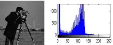 Figure 3. Contrast enhanced image and its histogram after applying CDF transformation
