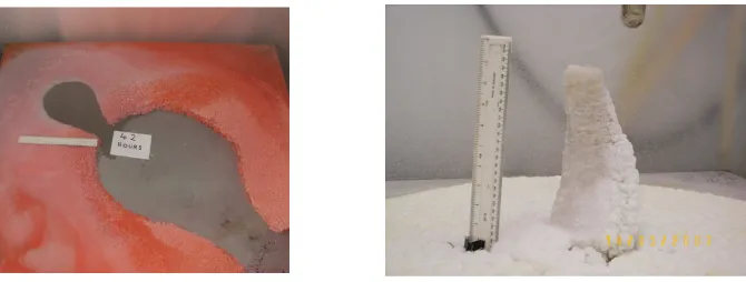 Figure 1: Experimental crystal formations of sodium nitrate solution, under various conditions.For Peer Reviewsubject to the initial condition,and the Dirichlet or Neumann boundary condition onThe mathematical formulation of the inverse geometric problem under investigation requires ﬁnding the and the moving internal defectthe Cauchy (Dirichlet + Neumann) boundary conditions on the ﬁxed outer boundaryMathematical Formulation D(t) satisfying the heat equation,∂u∂t (x, t) − ∆u(x, t) = 0,(x, t) ∈ (Ω \ D(t)) × (0, T],u(x, 0) = u0(x),x ∈ Ω \ D(0),u(x, t) = f(x, t),(x, t) ∈ ∂Ω × [0, T],∂u∂n(x, t) = g(x, t),(x, t) ∈ ∂Ω × [0, T], ∂D(t), namely,u(x, t) = h(x, t),(x, t) ∈ ∂D(t) × [0, T],∂u∂n(x, t) = h(x, t),(x, t) ∈ ∂D(t) × [0, T].) are simply connected bounded smooth domains such that D(t) ⊂ 0 is an arbitrary time of interest and n is the outward unit normal to the boundary.