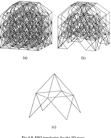 Fig 4,9 ESO topologies for the 3D truss: 