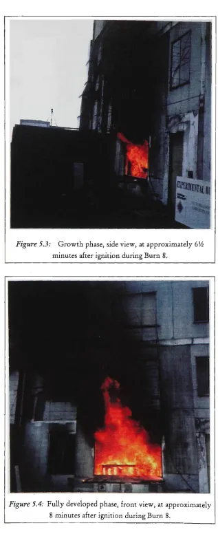 Figure 5.3: Growth phase, side view, at approximately GVz 
