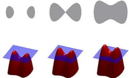 Figure 1. Examples of various level set function depending on the initial surface. 