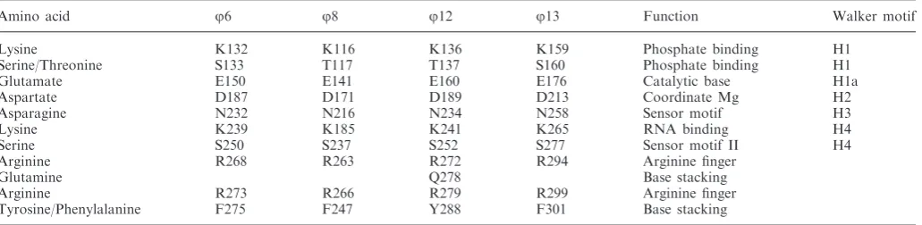 Table 2. Conserved residues and their function within j6, j8, j12 and j13 P4 proteins