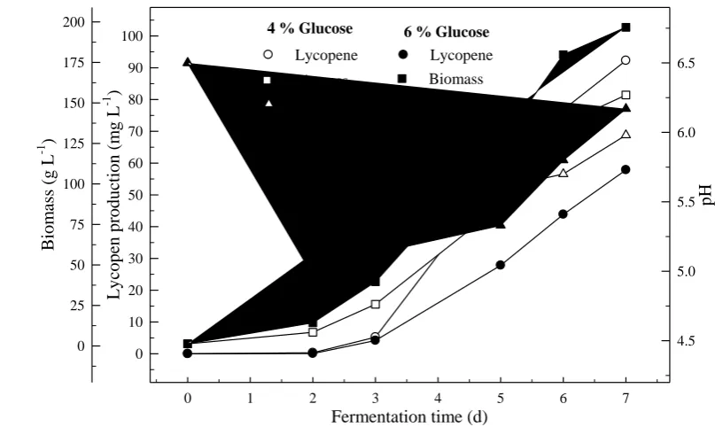 Figure 6. Changes in lycopene production, biomass formation and pH in a fermentor 