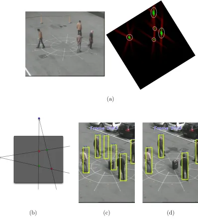 Figure 2: Synergy map: (a). Detection of all pedestrians requires a threshold on synergymap to be set to value that permits ghost detection to pass thorough