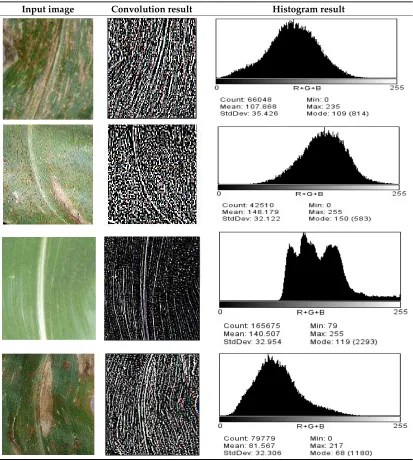 Table 2. Table of convoluted results and histogram results for select few input test images through the CNN