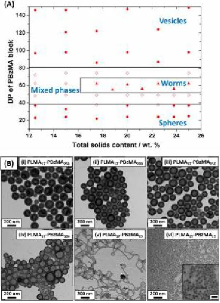 Fig. 4  (A) Phase diagram constructed for PLMA17-PBzMAx diblock copolymer particles prepared by RAFT dispersion polymerization in n-