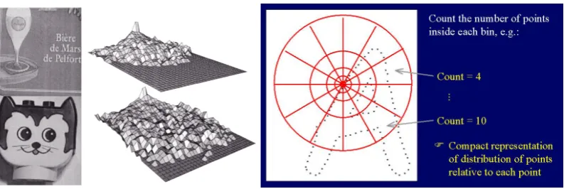 Figure 2.41 (left) Two dissimilar objects and their Mag-Lap histograms corresponding to a particular viewpoint, image 