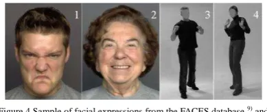 Figure 4 Sample of facial expressions from the FACES database 9) and 