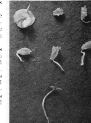 Table 2. The germination percent- of the four replicates tested for each 