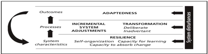 Figure 1. Showing the cycle of ‘Adaptedness to Resilience’ (Nelson et al., 2007). 