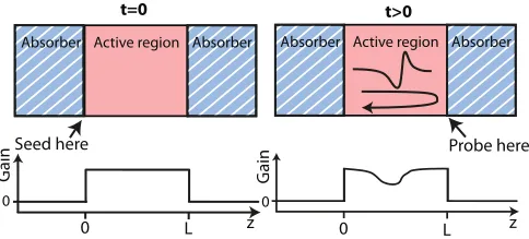 FIG. 1. (Color online) Schematic of the simulation. The active