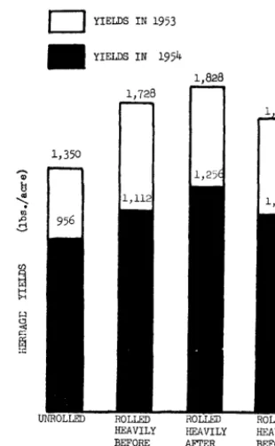 FIGURE 5 Gelds (10 per cent .old stands of crest- ed wheatgrass 3. Herbage moisture) from 2-year- seeded as influenced in 1951 and 1952 by rolling