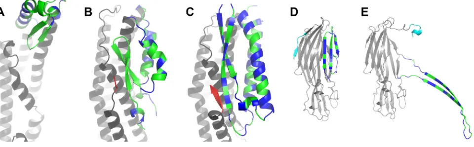 Figure 4.  the structure is coloured in grey, except for the N-terminal region which is coloured in cyan