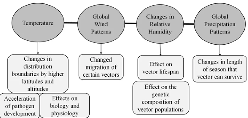 Figure 4: Direct Effects of Climate Change on Disease Vectors 