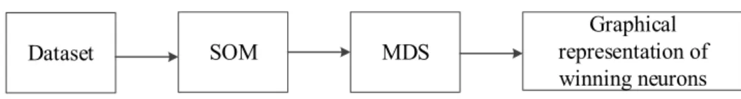 Figure 4. Scheme of the visualization process by the combination of SOM and MDS 