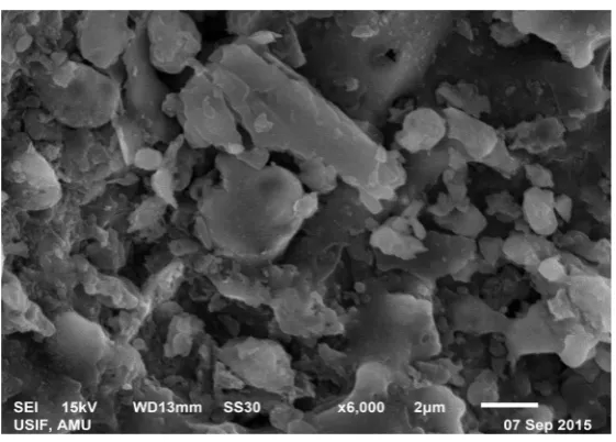 Figure 4. SE image of TFA at 6000×. 