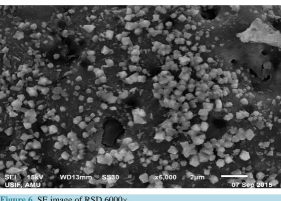 Figure 6. SE image of RSD 6000×. 