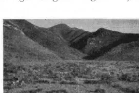 Table 1. Average percentage of grass cover on four altitudinal belts of blocks A, B and C on the mountain slow 
