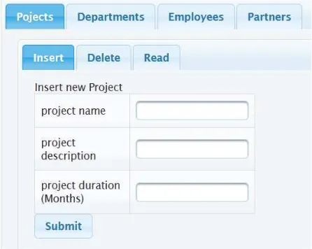 Figure 3. User Interface view of the test application 