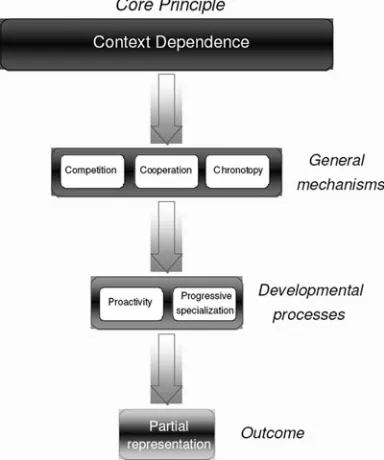 Figure 1.Principles, mechanisms and processes involved inthe neuroconstructivist framework