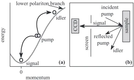 FIG. 1. Schematic of the experiment.