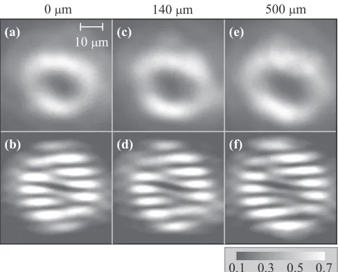 FIG. 3. (a), (c), and (e) are the spatial images of a ring-shaped