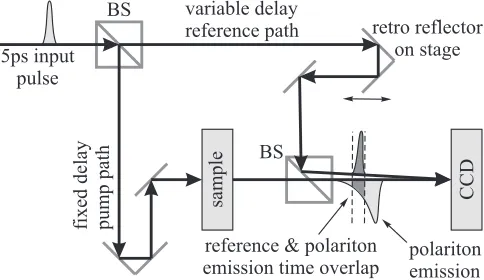 FIG. 6. The schematics of the transmission experiment.