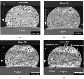 Figure 6. (a) A schematic cross-section; (b) SEM secondary image of SnPb solder joint [23]