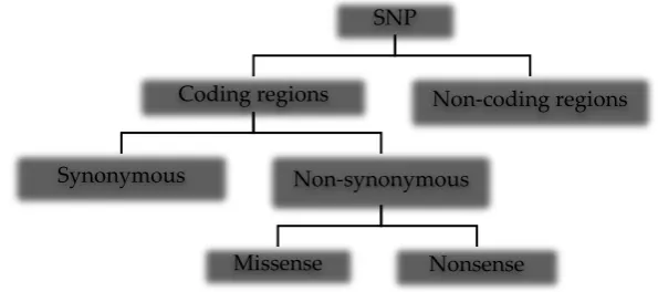 Figure 1:  Types of single nucleotide polymorphisms in the human genome 