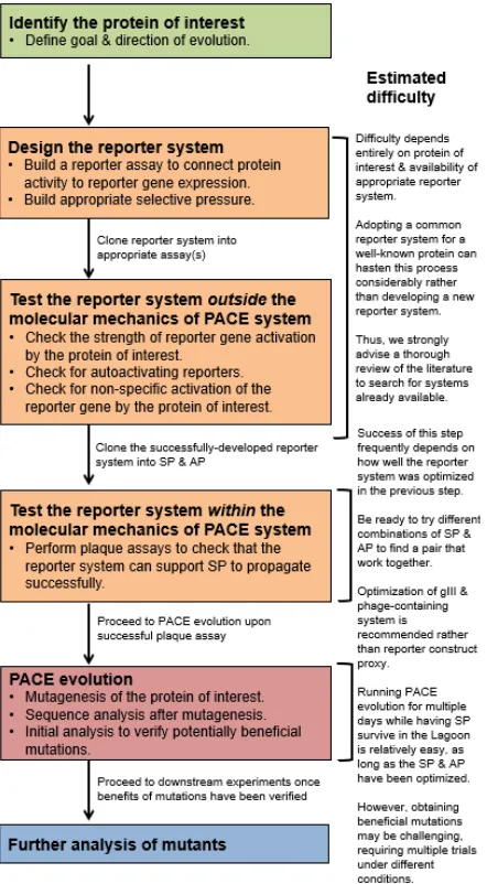 Figure 5. Typical workflow for the development of a PACE selection circuit. Before 