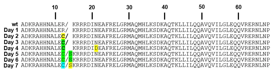 Figure 8. Multiple sequence alignment of ME47 CDS after 7 days of PACE. ME47 sequence corresponding to its basic region is shown