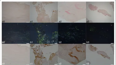 Fig. 1 Representative histological images of intervertebral disc sections from non-dialysis (0) and dialysis patients (1in apple green.–3)