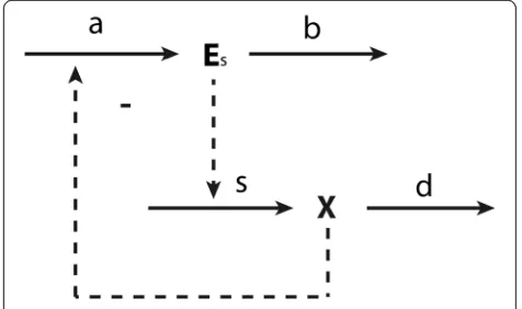 Figure 4 Illustration of hierarchical control. The lower partrepresents a metabolic supply–demand system, in which the supplyis catalyzed by enzyme Es (or enzymes stemming from an operon).The upper part describes the synthesis of enzyme Es in process aand 
