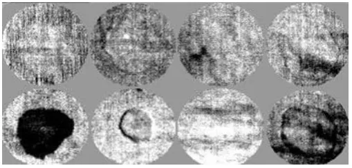 Fig.11 A single band  image selected by spectral correlation. 
