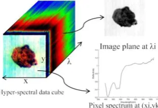 Fig.1. Hypercube of a bloodstain on white fabric, with two spatial (x, y) and one wavelength (λ) dimension