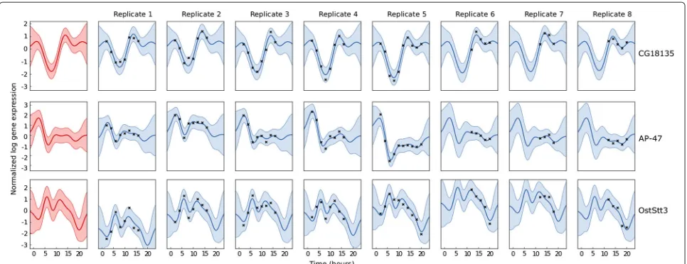 Figure 2 Hierarchical GP regression on the expression of three illustrative genes during Drosophila Melanogaster development, usingeight replicates with different time sampling