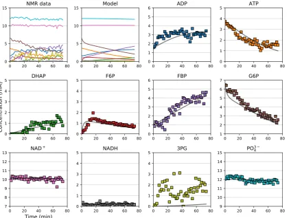 Figure 5. Validation of a kinetic model by comparison to independent experimental data