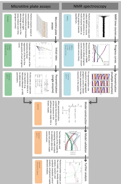 Figure 1. The basic workﬂow for integrating enzyme kinetics for systems biology with computationalmodelling using Python