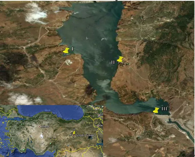 Figure 1. The location of U zunçayır Dam Lake. 