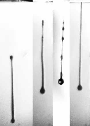Figure 9. Jetting of viscous solvent and 3 fluids of Table 1 with matched LVE properties from the same MicroFab nozzle.2,39 Delays: 145 µs for first 2 strips and 200 µs for the last 2 strips