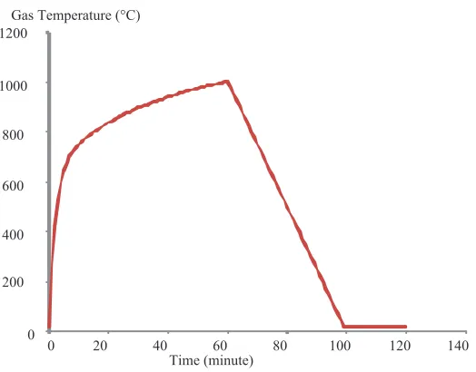Figure 4.  Fire curve