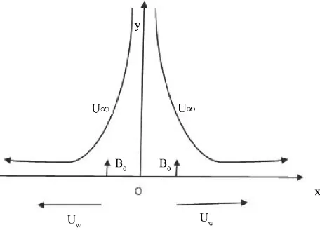 Figure 1. Physical sketch of the given problem.                            