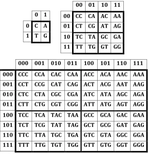 Fig. 2. The square tables of DNA-alphabets of 4 nucleotides, 16 doublets and 64 triplets with a strict arrangement of all components