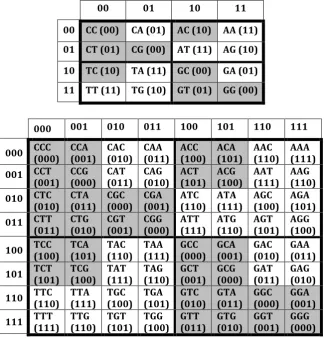 Fig. 3. The tensor family of genetic matrices [C, A; T, G](n) (here tensor power n = 1, 2, 3) of DNA-alphabets of 4 nucleotides, 16 doublets and 64 triplets