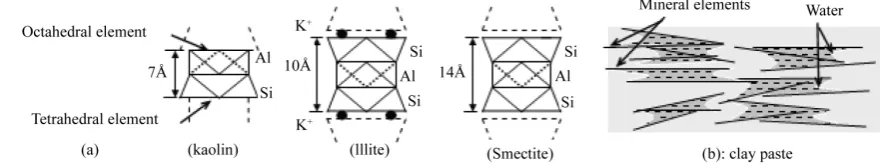 Figure 2(b) shows a clay paste which is deformed between two plates. The down plate is fixed and the upper plate moves at a velocity V by an applied force F