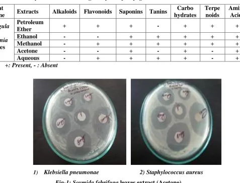 Fig-1: Soymida febrifuga leaves extract (Acetone) 