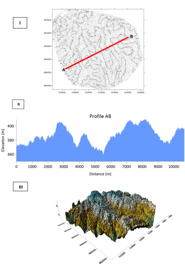 Fig. 3.  I) Contours, II) Profile en long et III) Modèle 3D réalisé via le logiciel Surfer 